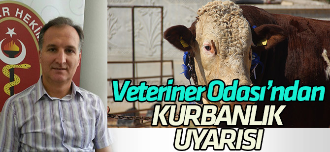 Kurbanlık alırken bunlara dikkat!