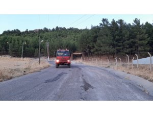 Orman yangını korkuttu