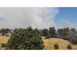 Mardin’deki yangın 24 saat sonra söndürüldü