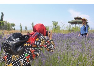 Van YYÜ’den çiftçilere alternatif bitki