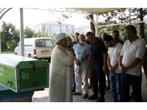 Düzce'deki su baskını ve toprak kayması