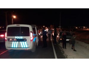 Yoldan geçen hayvanlara çarpıp kaçtı