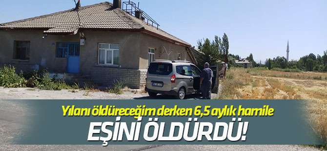 Yılanı vurmaya çalışırken hamile eşini öldürdüğü iddiası