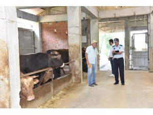 Kartepe Belediyesi’nden kurban satış ve kesim yerlerine denetim