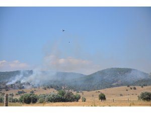 Sandıklı’daki yangında 5 hektar ormanlık alan kül oldu