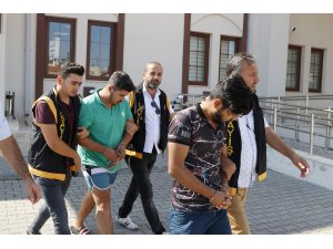 "Satılık köpek" ilanlarıyla dolandırıcılık