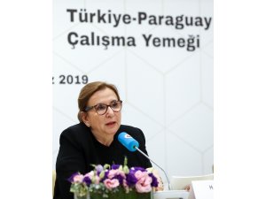 Türkiye-Paraguay Çalışma Yemeği