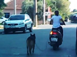 Köpeğini motosiklete bağlayan kadına tepki