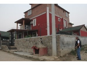 Adana’da pitbullarla korunan şatoya veterinerli polis baskını