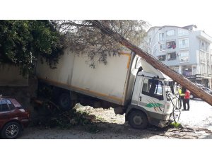Yasak olan yokuşa giren kamyonet freni patlayınca ağaçları yerinden söktü