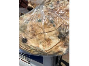 Küflü ekmekleri vatandaşa yedireceklerdi