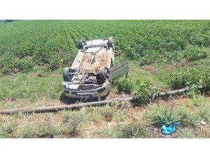 Tarlaya uçan otomobilin sürücüsü yaralandı