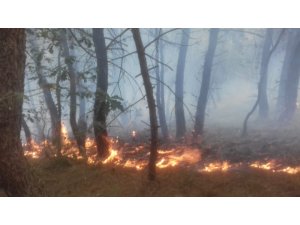 Dikmen’deki orman yangınına helikopterli müdahale