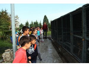 Beypazarı'ndan kısa kısa