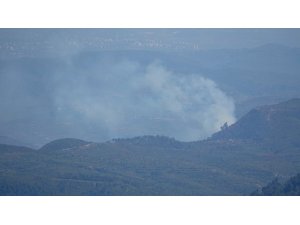 Hatay sınırında orman yangını