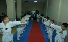 Halkapınar'da tekvando kursu açıldı