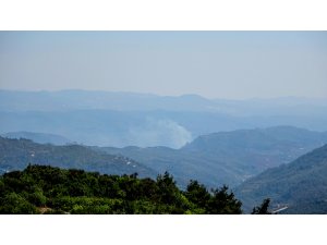 Suriye sınırında orman yangını