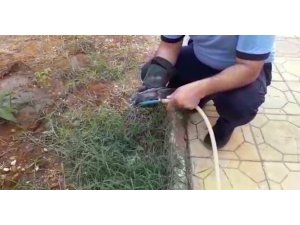 Sıcaktan bayılan kuşun imdadına itfaiye yetişti