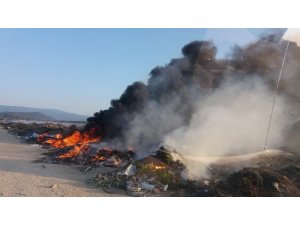 Burhaniye’de çöplük yangını korkuttu