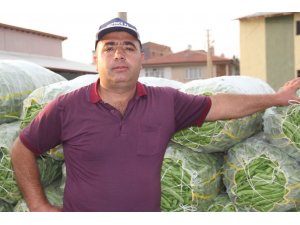 Fasulye fiyatlarında düşüş başladı