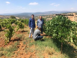 Bozkır'da çiftçilere mühendislik hizmeti