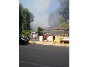 Gemlik’te tatilcileri korkutan yangın