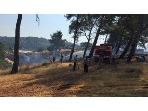 Kaş’ta anız yangını