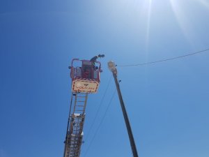 Elektrik direğinde mahsur kalan kedi itfaiye tarafından kurtarıldı