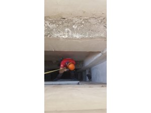 Apartman boşluğuna düşen kedi kurtarıldı