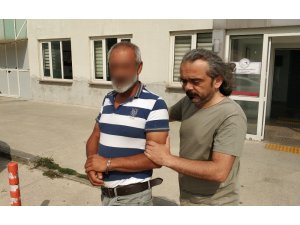 Evinde bonzai ele geçen şahıs tutuklandı