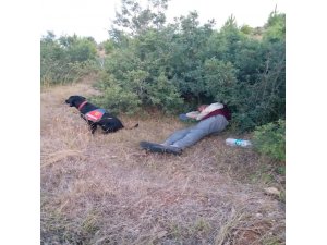 Kaybolan engelli vatandaşı iz köpeği buldu