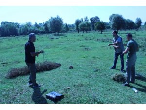 Saka kuşu avcılarına 26 bin 336 lira ceza