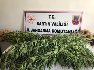 Bartın’da jandarmadan uyuşturucu operasyonu