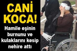 Cani koca!