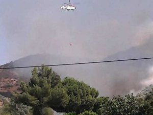 Aydın’da çifte yangın