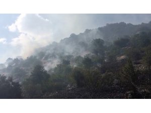 Gölbaşı’nda ormanlık alan yandı