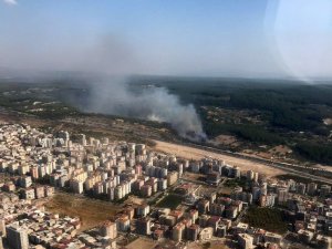 İzmir’in Buca ilçesinde, sürüsünün direksiyon hakimiyetini kaybettiği saman yüklü kamyonunun devrilmesi sonucu çıkan yangın ormana sıçradı. İzmir Orman Bölge Müdürlüğü’ne bağlı 5 helikopter ve 8 arazöz ile yangına müdahale e