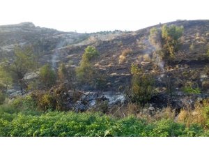 Ağaçlık alanda çıkan yangını köylüler söndürdü