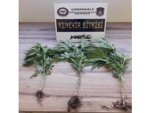 Çanakkale’de uyuştucu operasyonu: 1 tutuklama