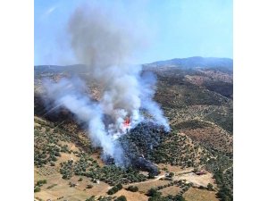 Yenipazar’daki yangın kontrol altına alındı