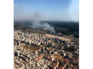 Saman yüklü kamyon devrildi, alev alan samanlar ormanı yaktı