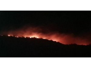 Elazığ’da orman yangını