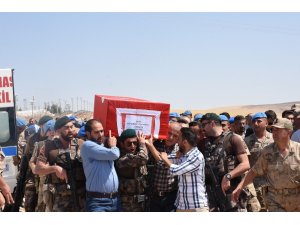Nusaybin şehidi düzenlenen törenle memleketi Elazığ’a uğurlandı