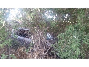Konya'da otomobil ağaçlık alana uçtu: 4 yaralı