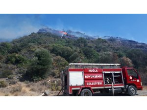 Datça’da 5 dönüm makilik alan yandı