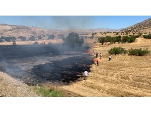 İliç’te anız yangını