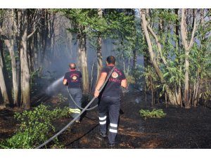 Erzincan Organize Sanayi Bölgesi’nde çıkan yangın korkuttu