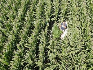 Karapınar'da uyuşturucu operasyonu