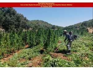 Diyarbakır’da terörün finans kaynağı kurutuldu