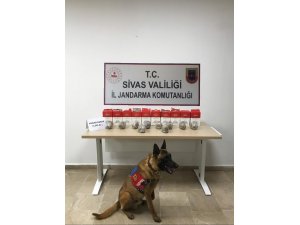 Sivas’ta 3 kilo 740 gram esrar ele geçirildi